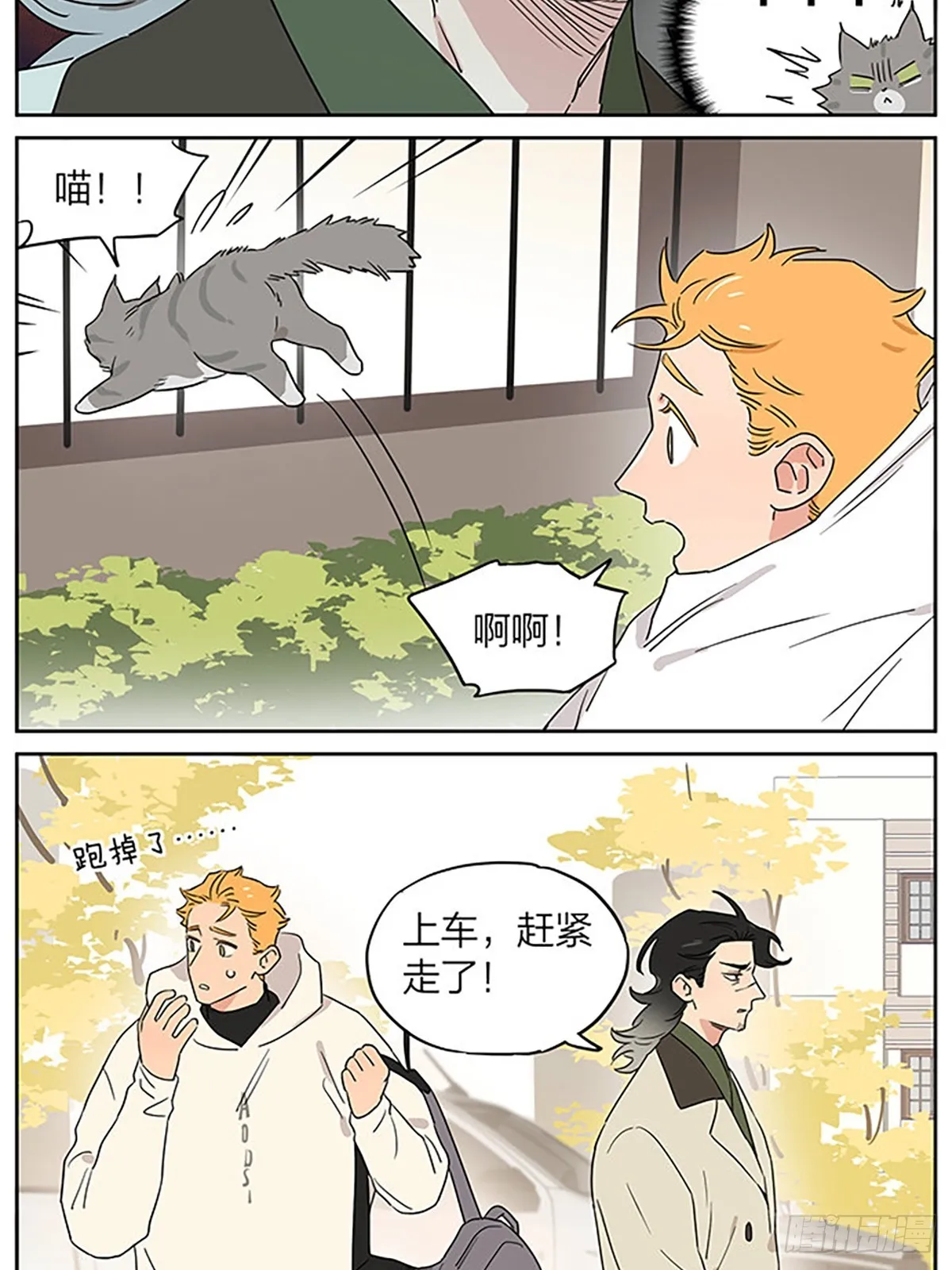 撸猫 第11页