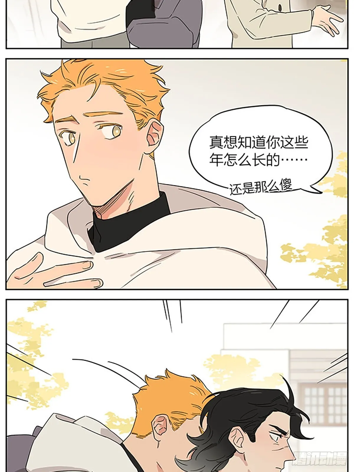 撸猫 第12页