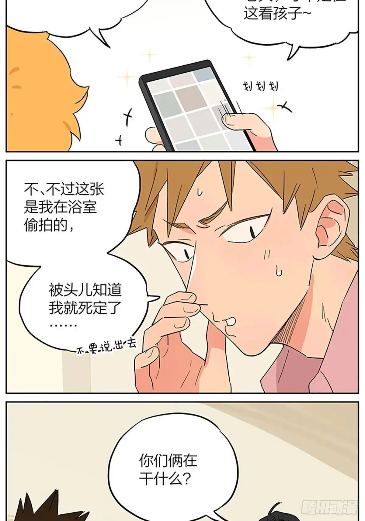 照片 第21页