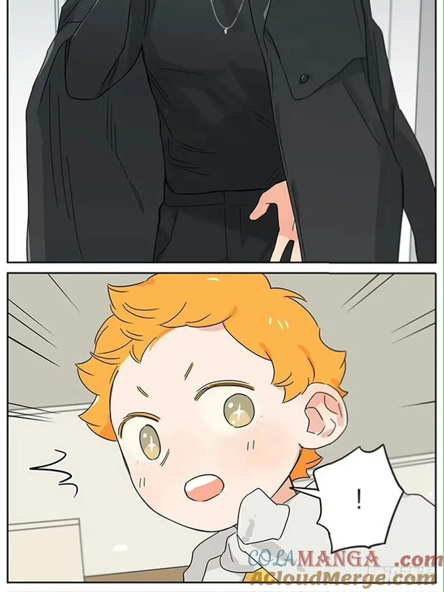 动画片 第13页