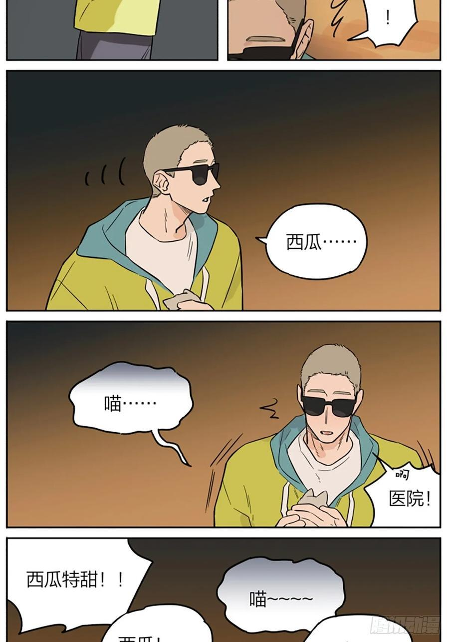 罗柏 第18页