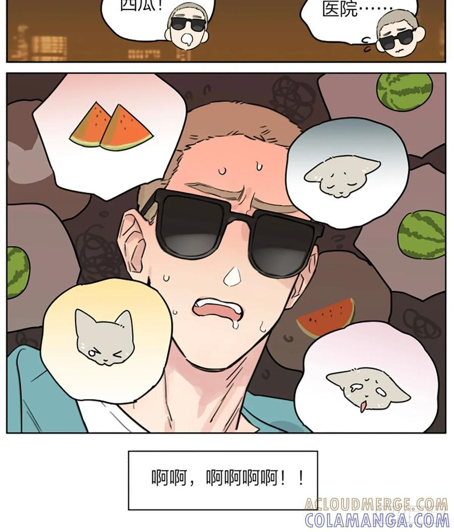 罗柏 第19页