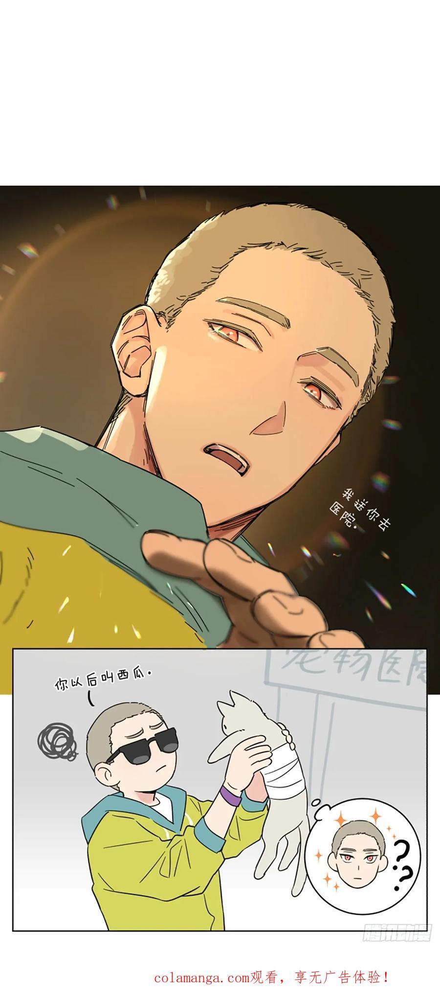 罗柏 第20页