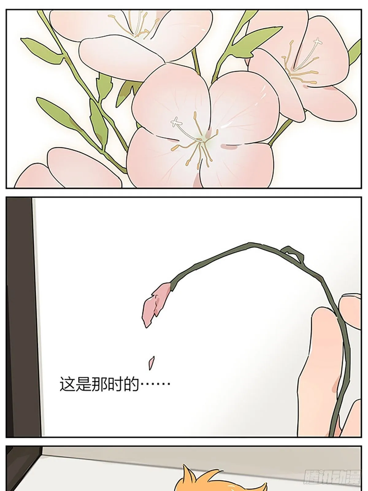 秘密 第22页