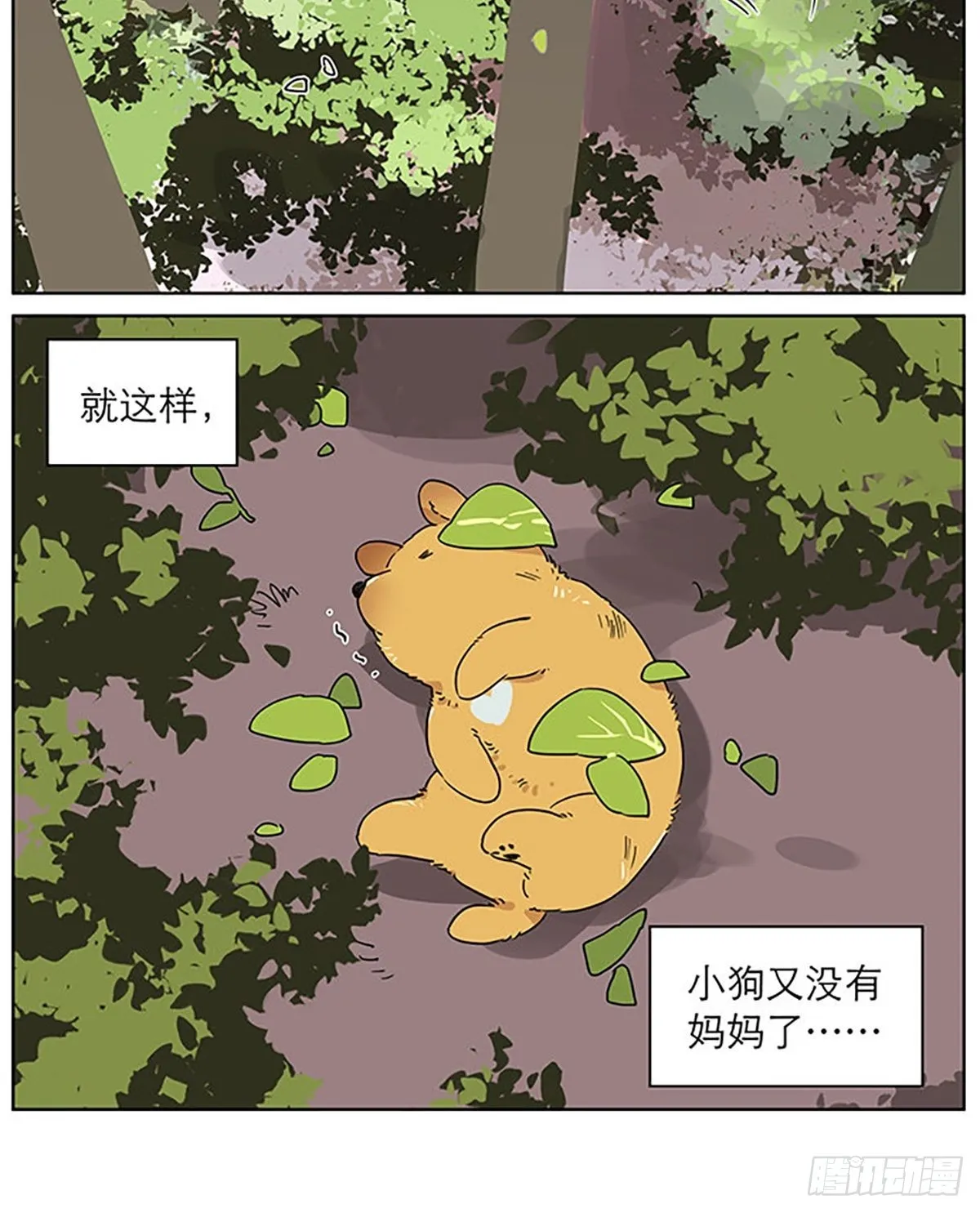 小狗的故事 第9页