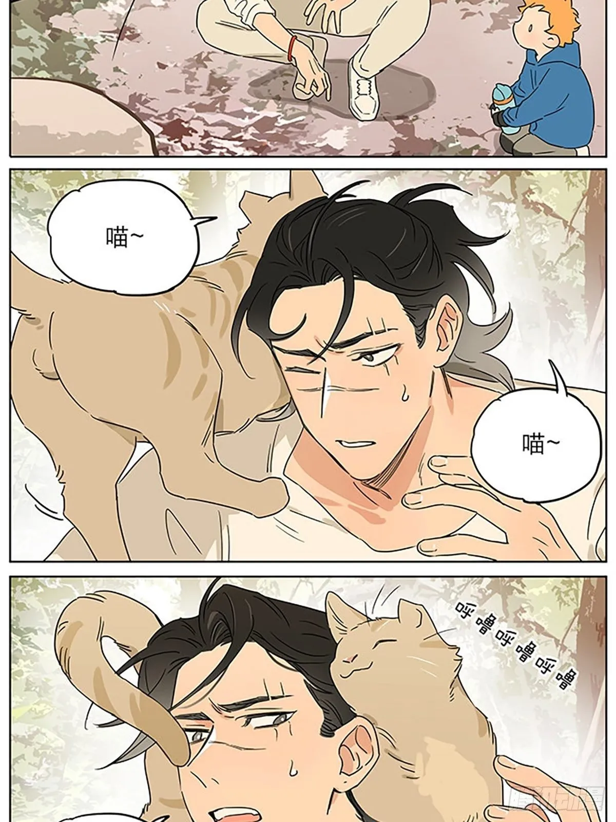 还在山里 第11页