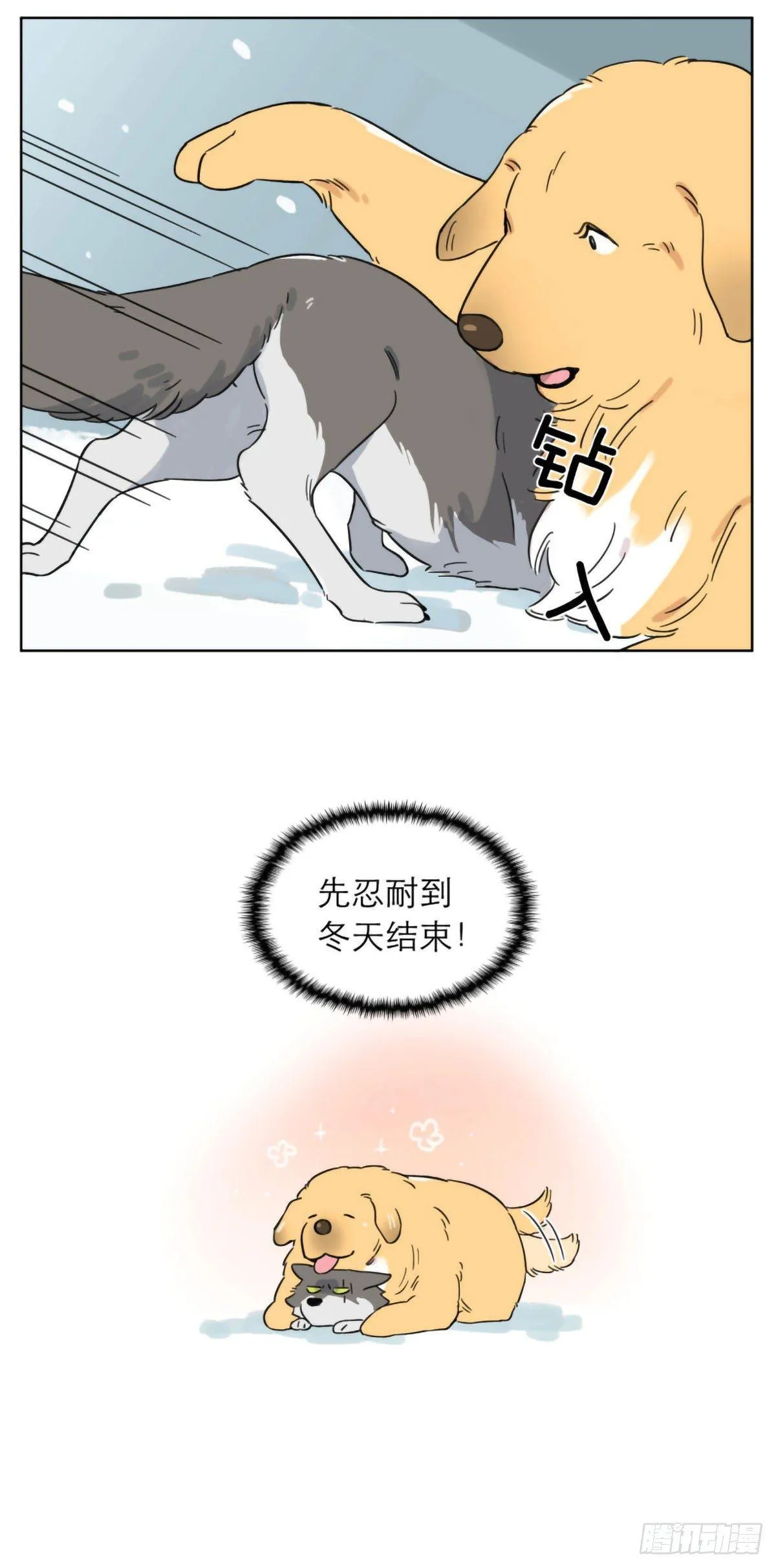 相遇后的第一个冬天 第5页