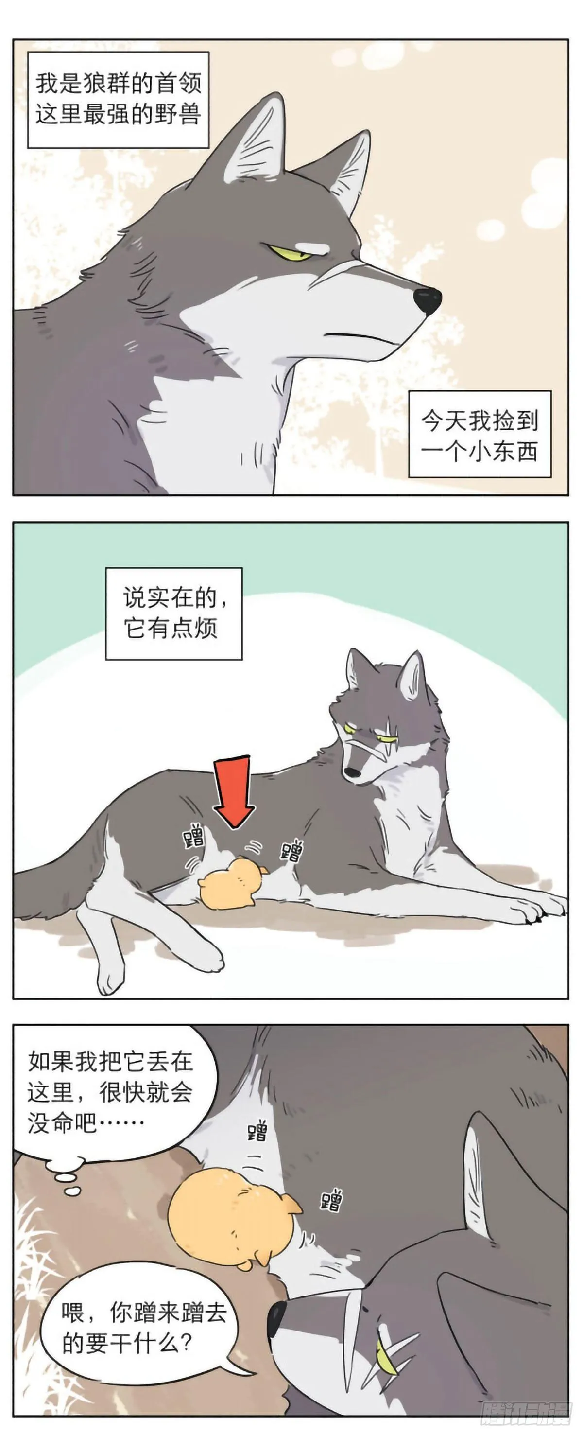捡到的奶狗有点烦 第1页