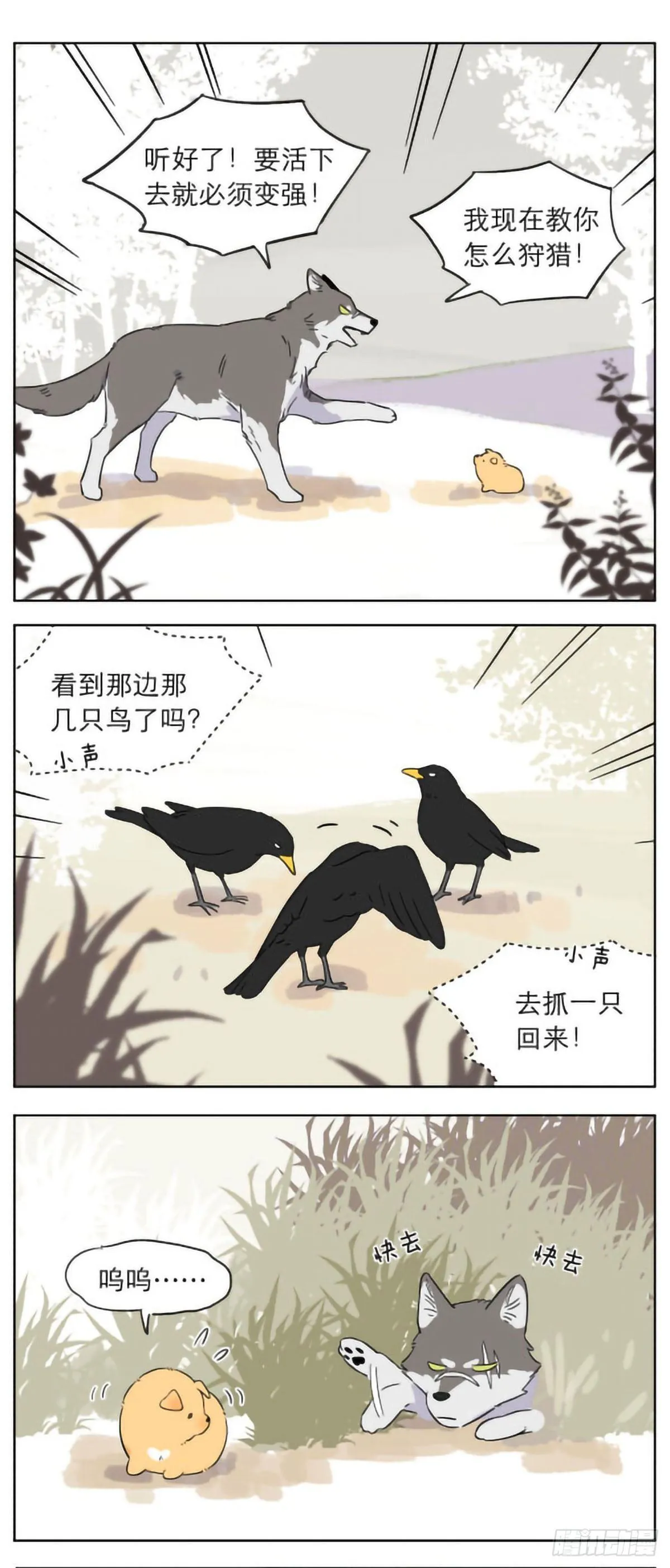 捡到的奶狗有点烦 第5页