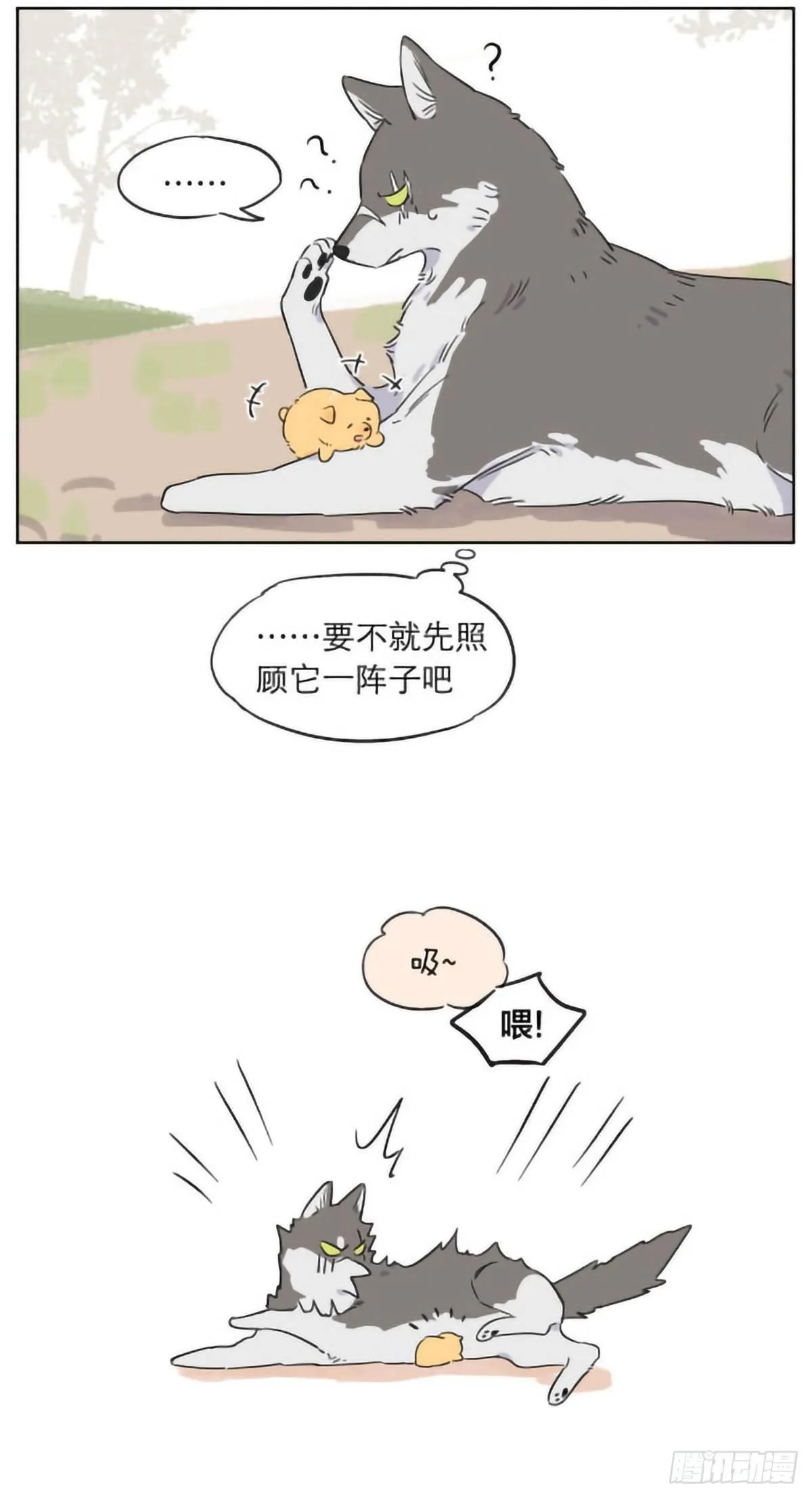 捡到的奶狗有点烦 第9页