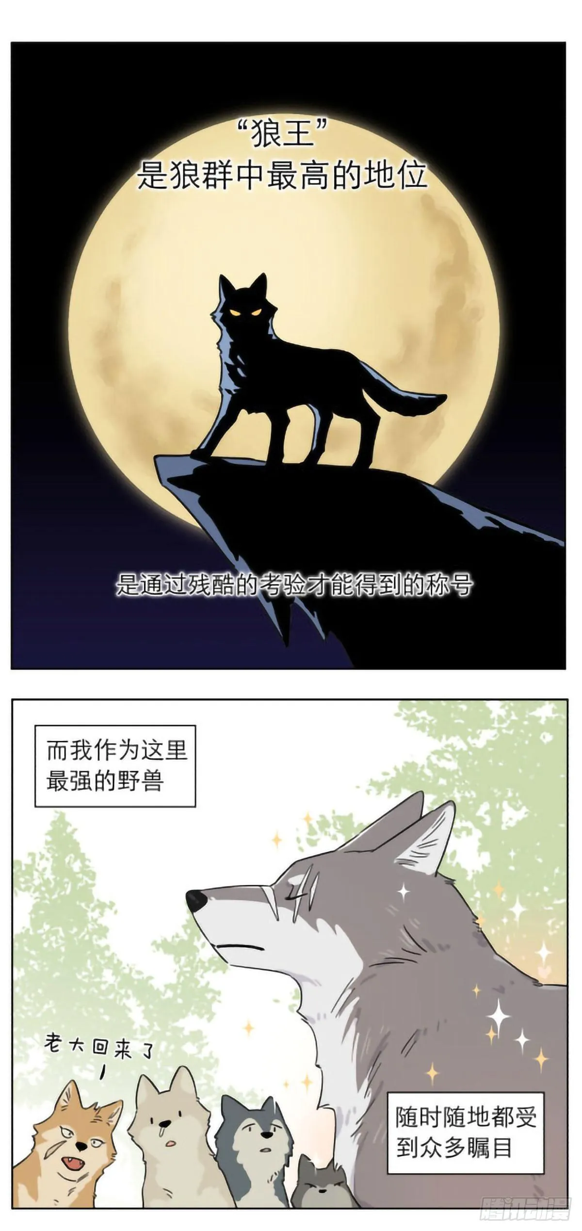 狼群里的小弟们 ​​​ 第1页