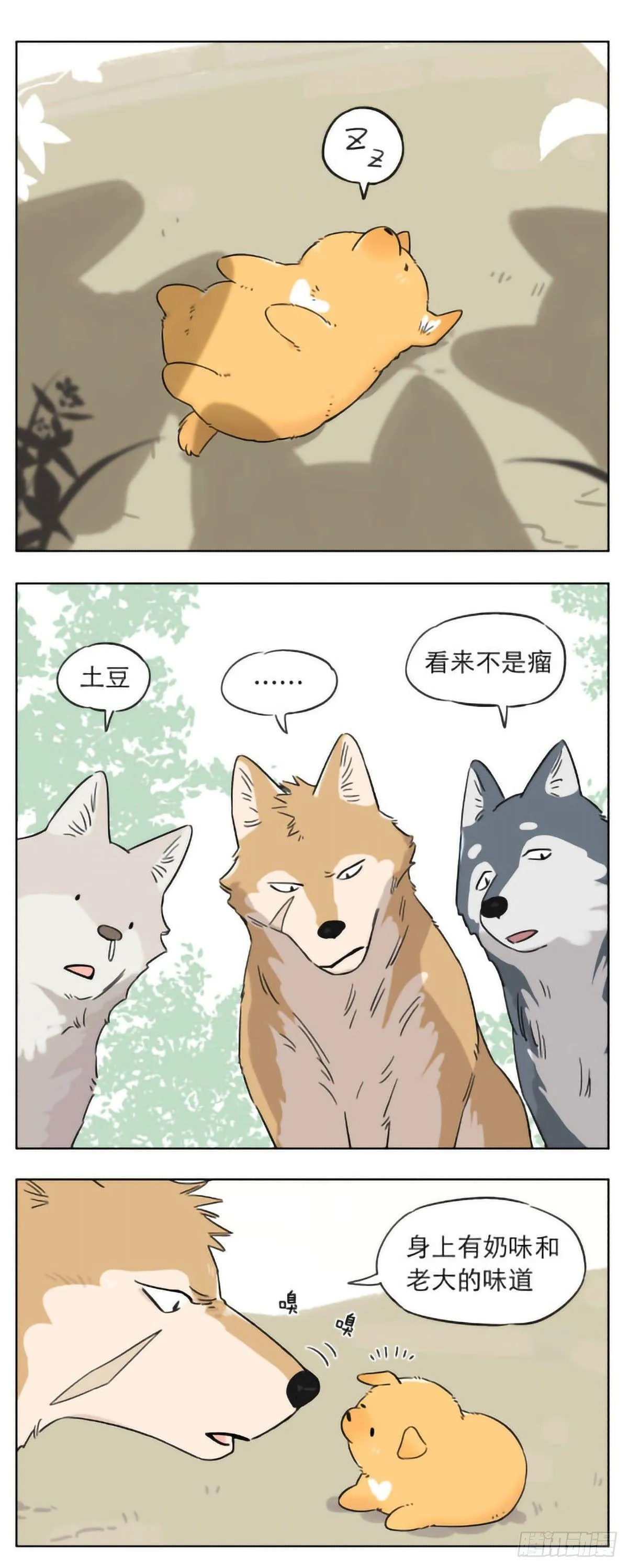 狼群里的小弟们 ​​​ 第5页