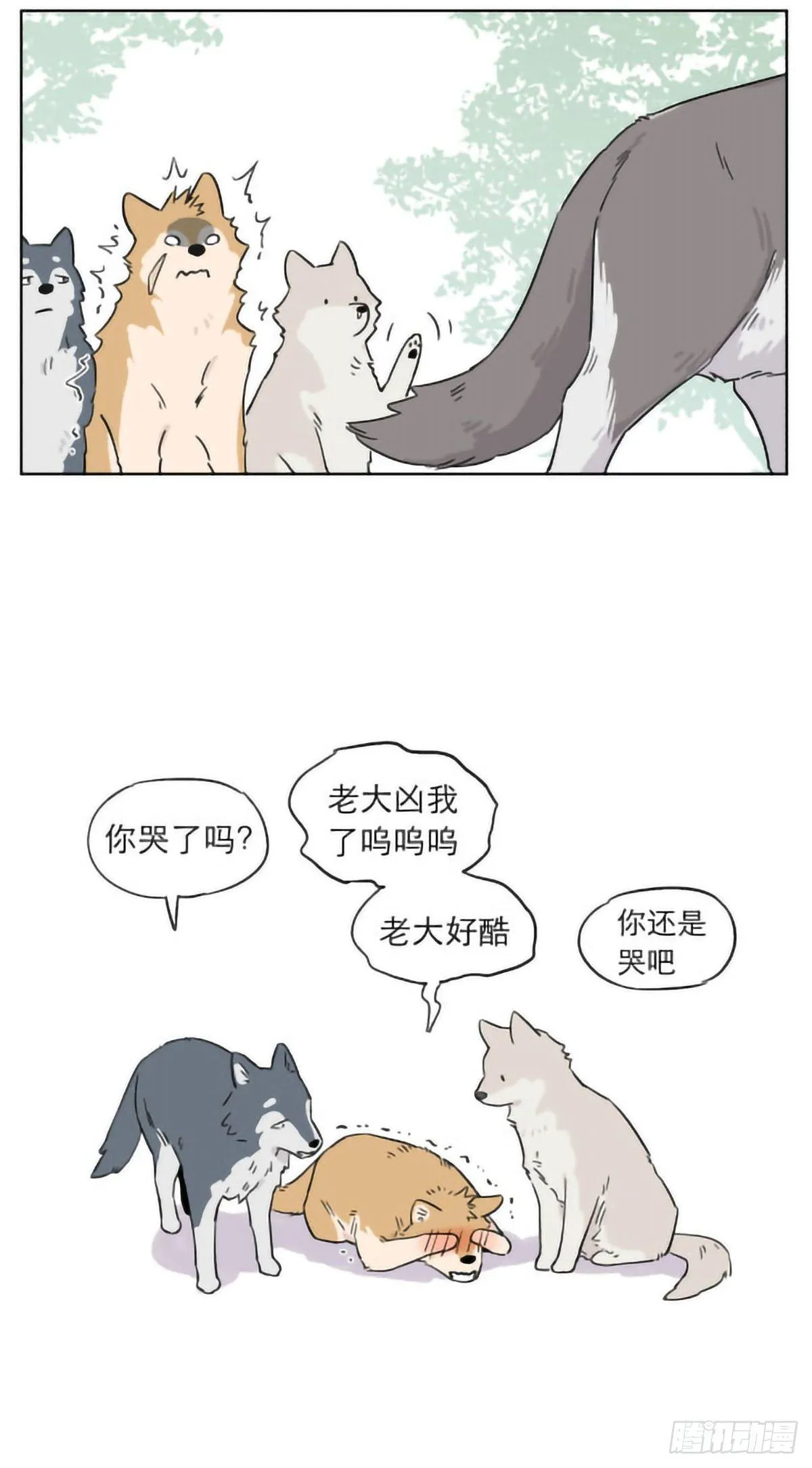 狼群里的小弟们 ​​​ 第10页