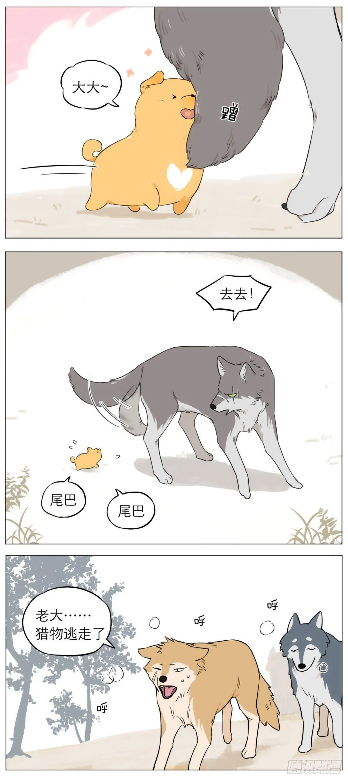 狼王的尾巴 第3页