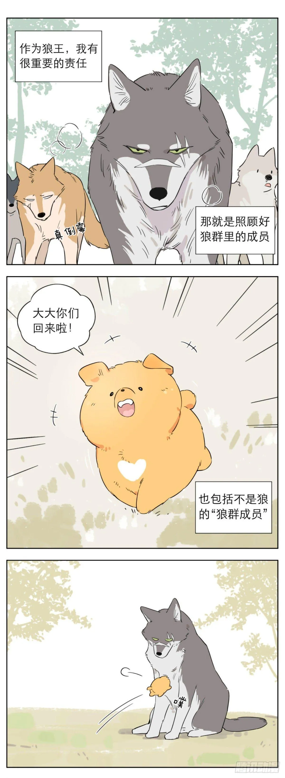 狼王的责任 第1页