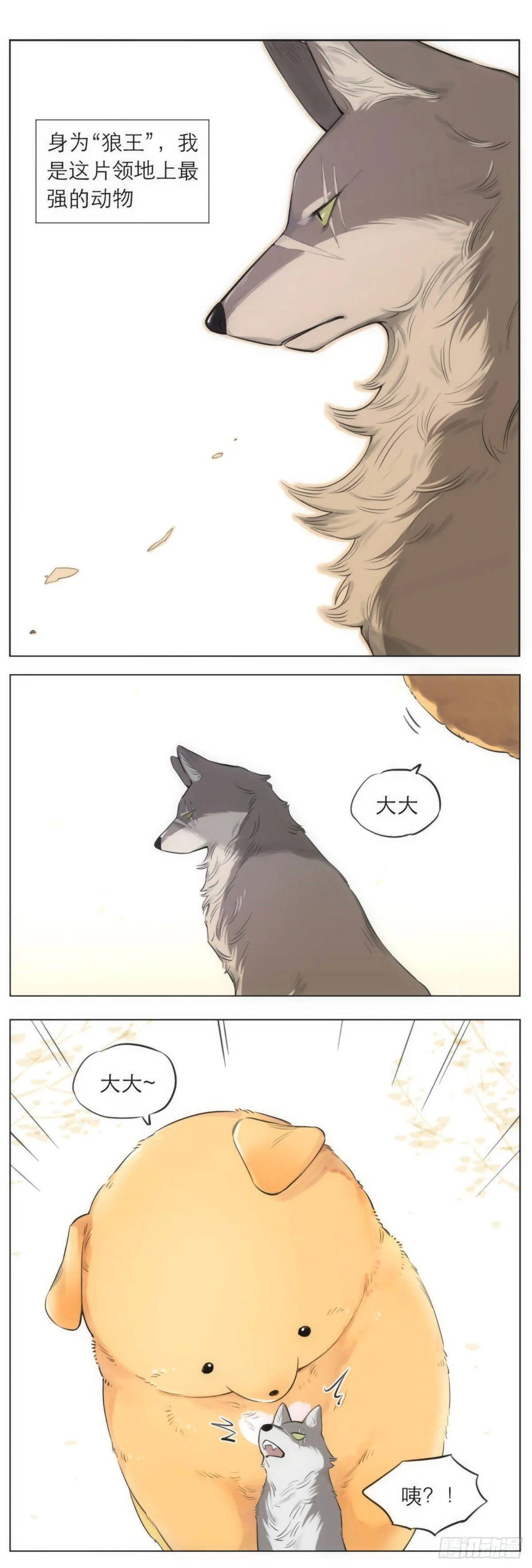 狼王的梦 第1页