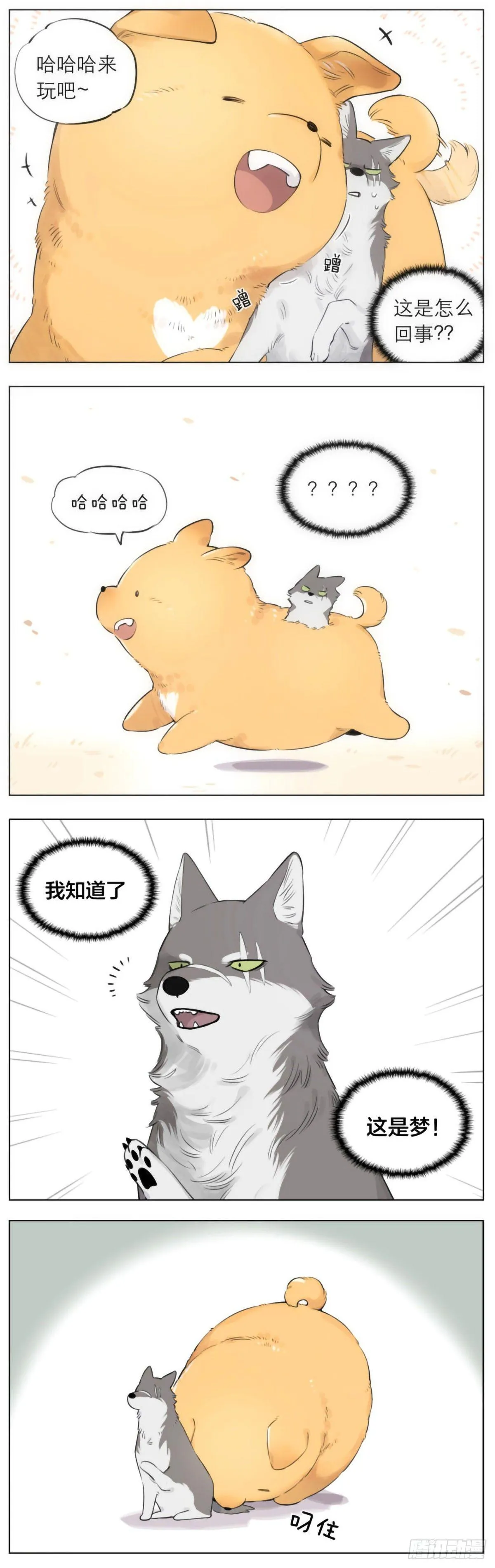 狼王的梦 第2页