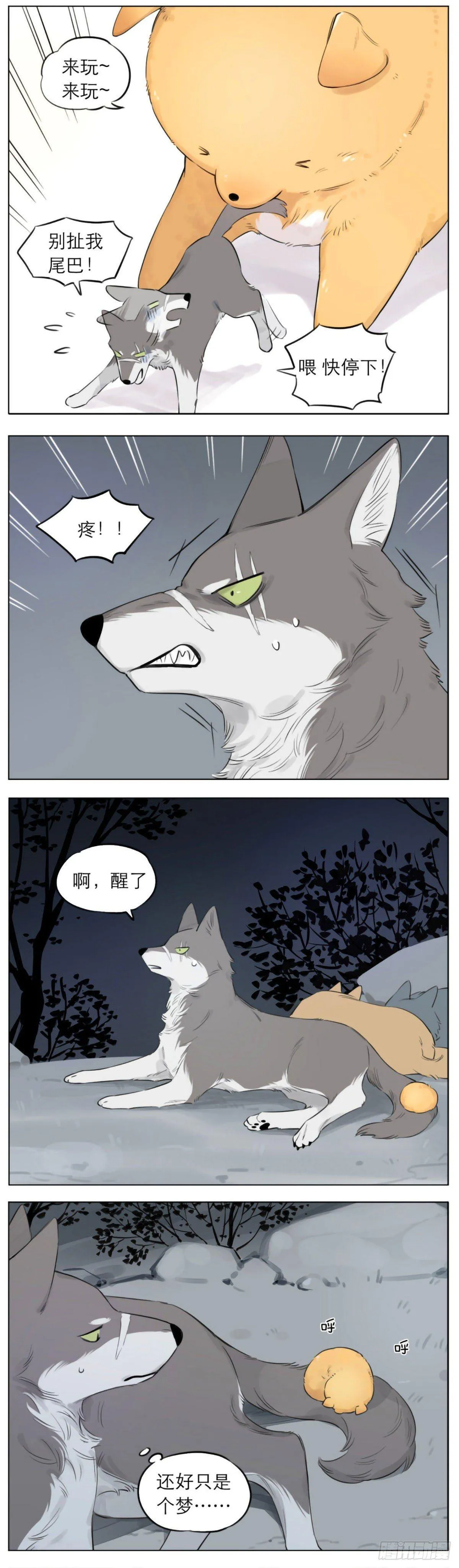 狼王的梦 第3页