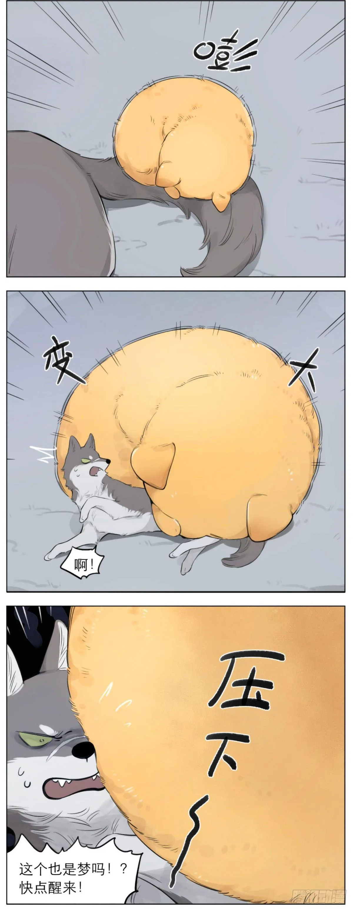 狼王的梦 第4页