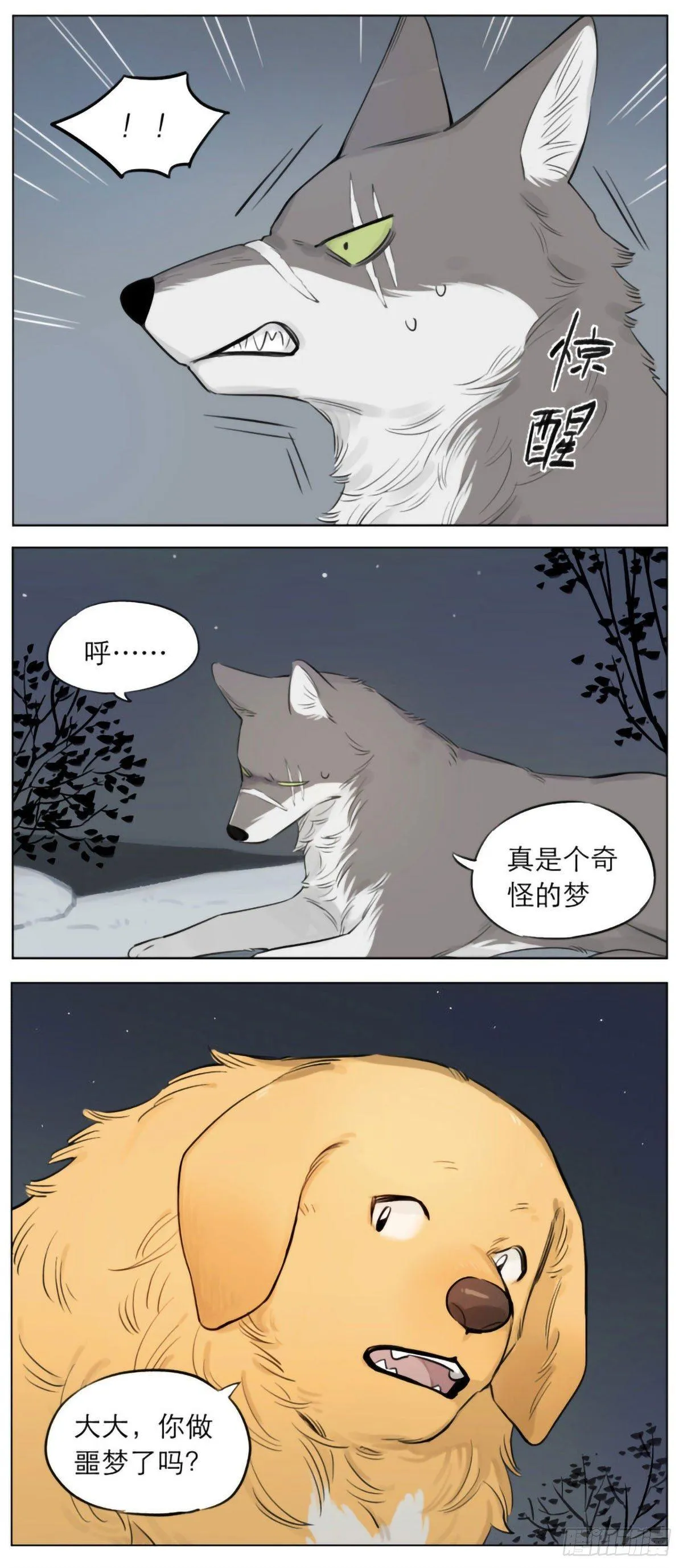 狼王的梦 第5页