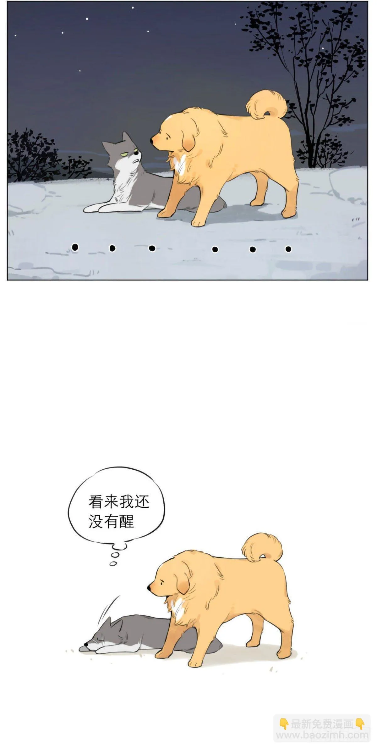 狼王的梦 第6页