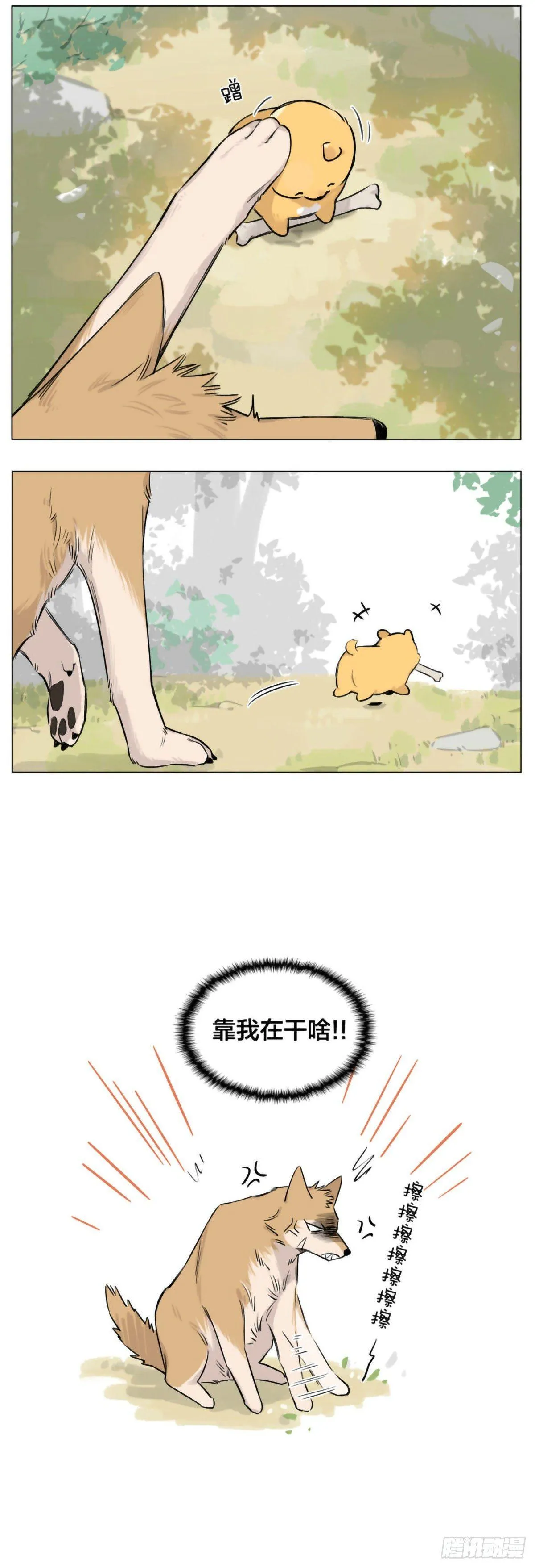 狼王给的骨头 第5页