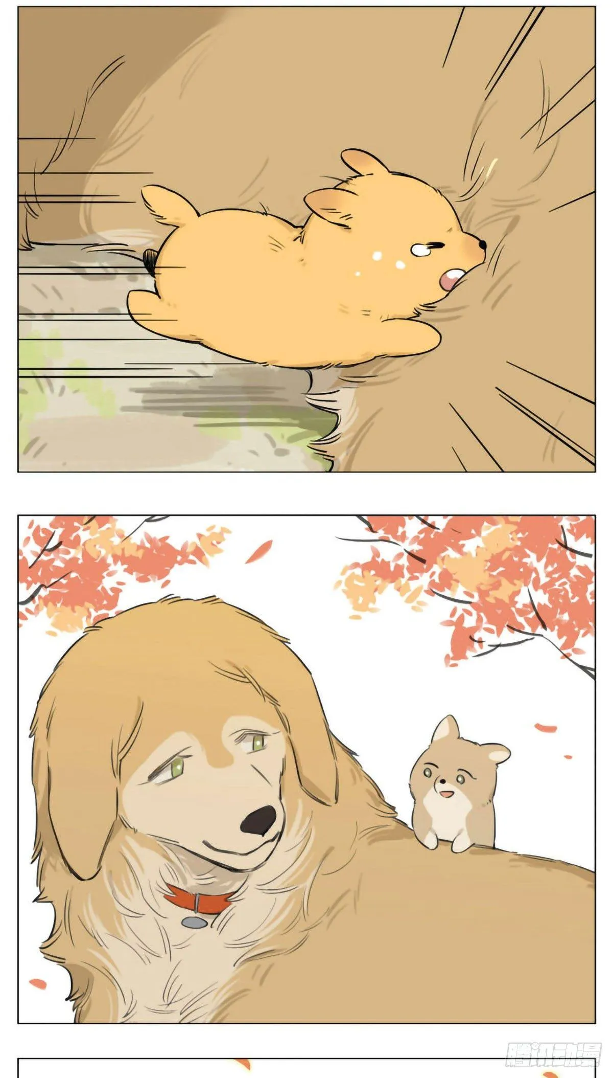过去的事 第13页