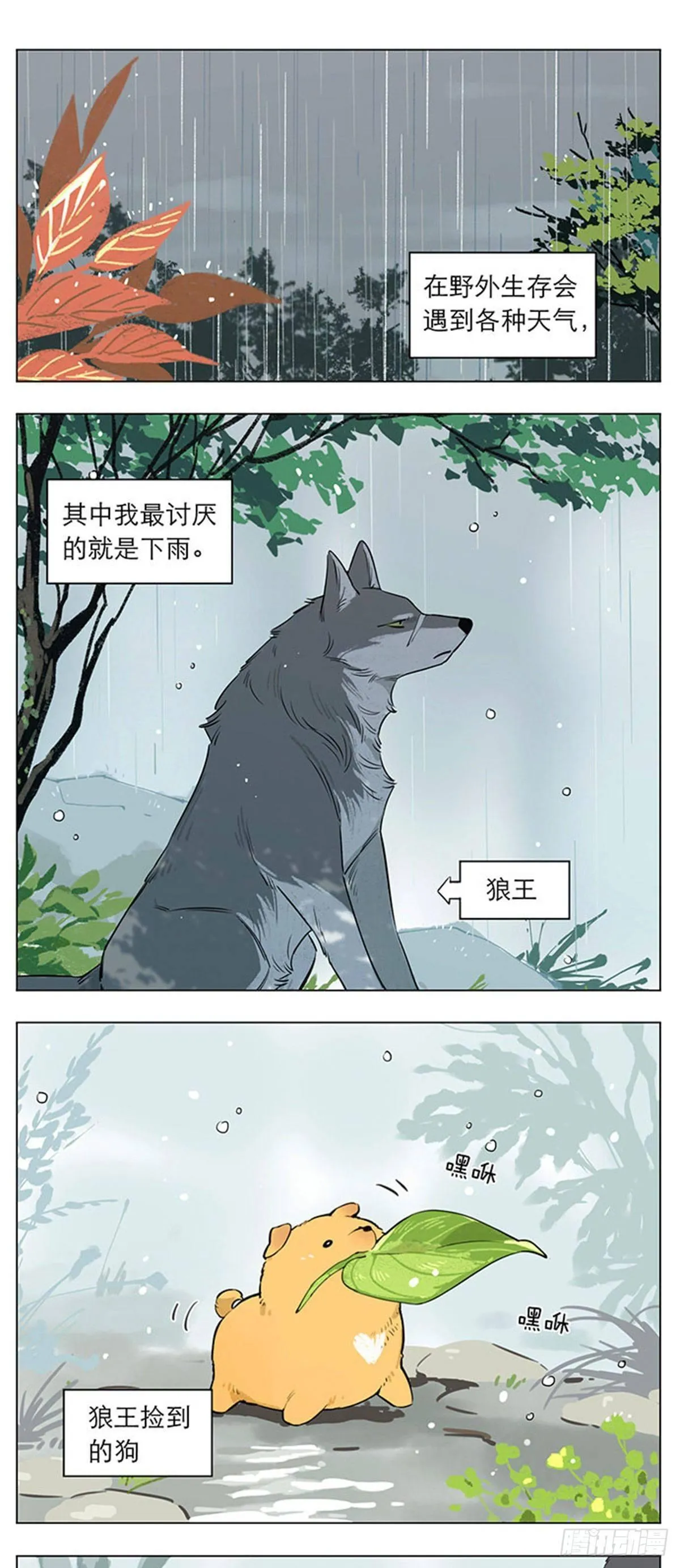 下雨天的狼王 第1页