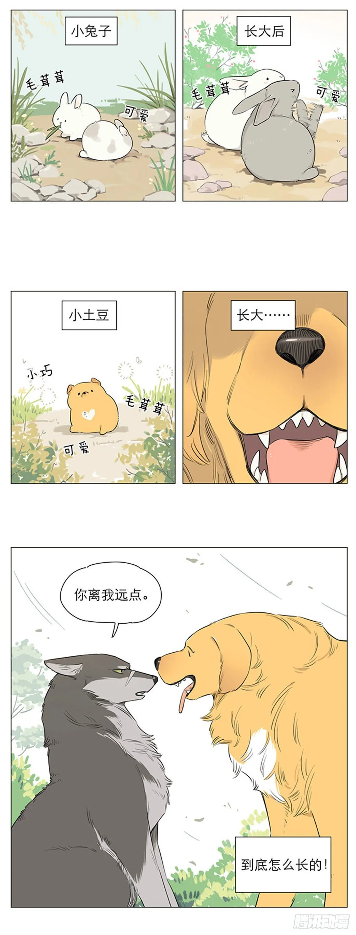 狼王的新称呼 第2页