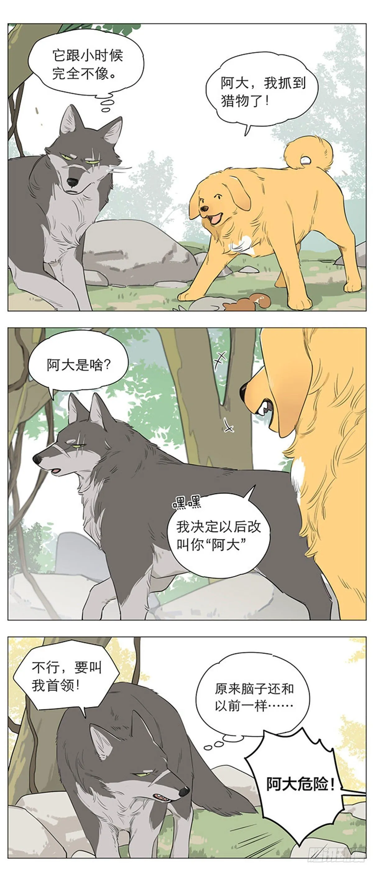 狼王的新称呼 第3页