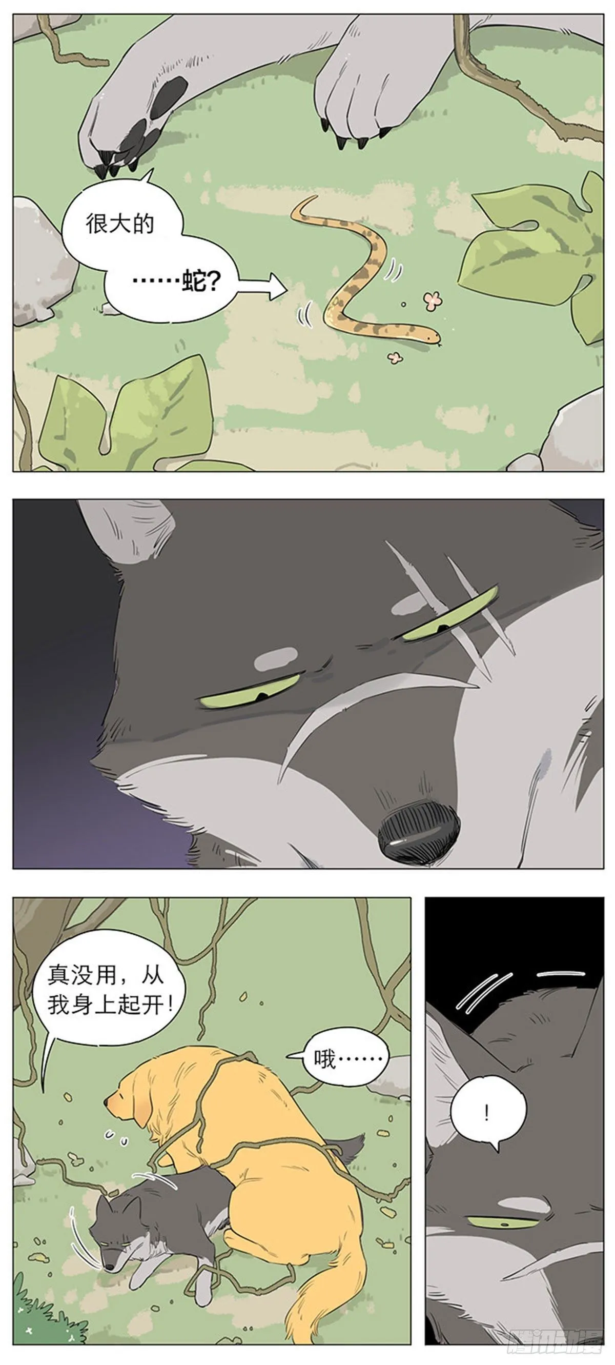 狼王的新称呼 第5页