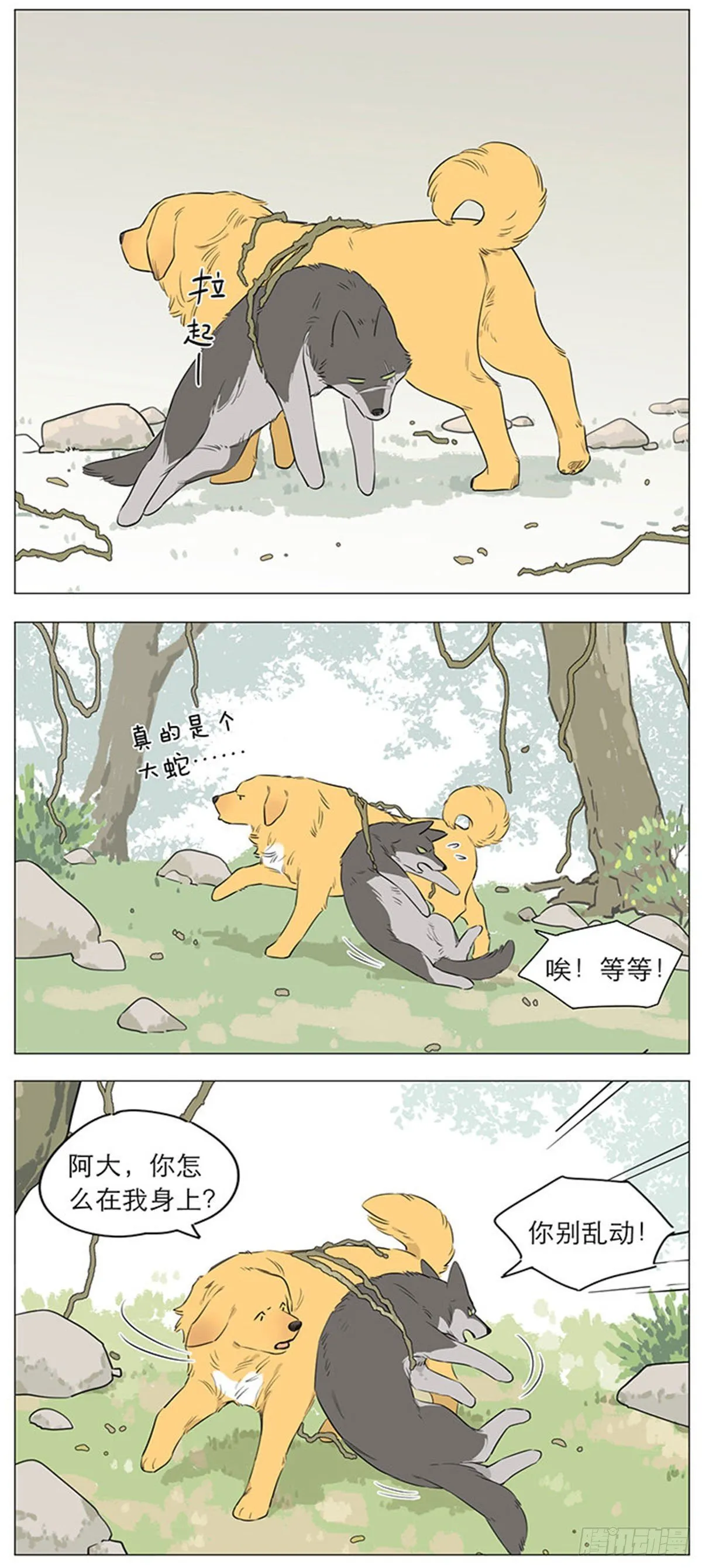 狼王的新称呼 第6页