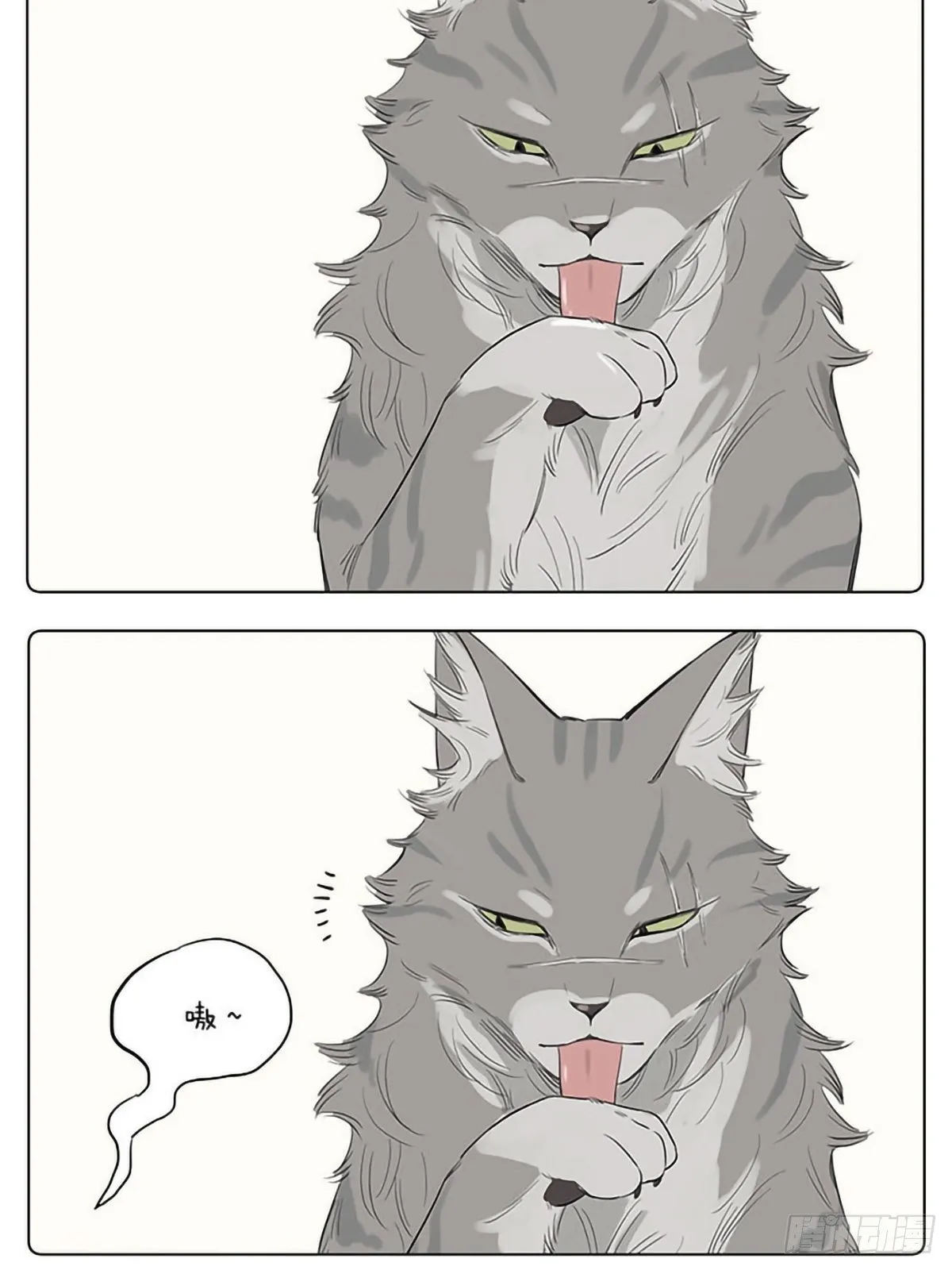 如果他们是猫。 ​​​​ 第3页