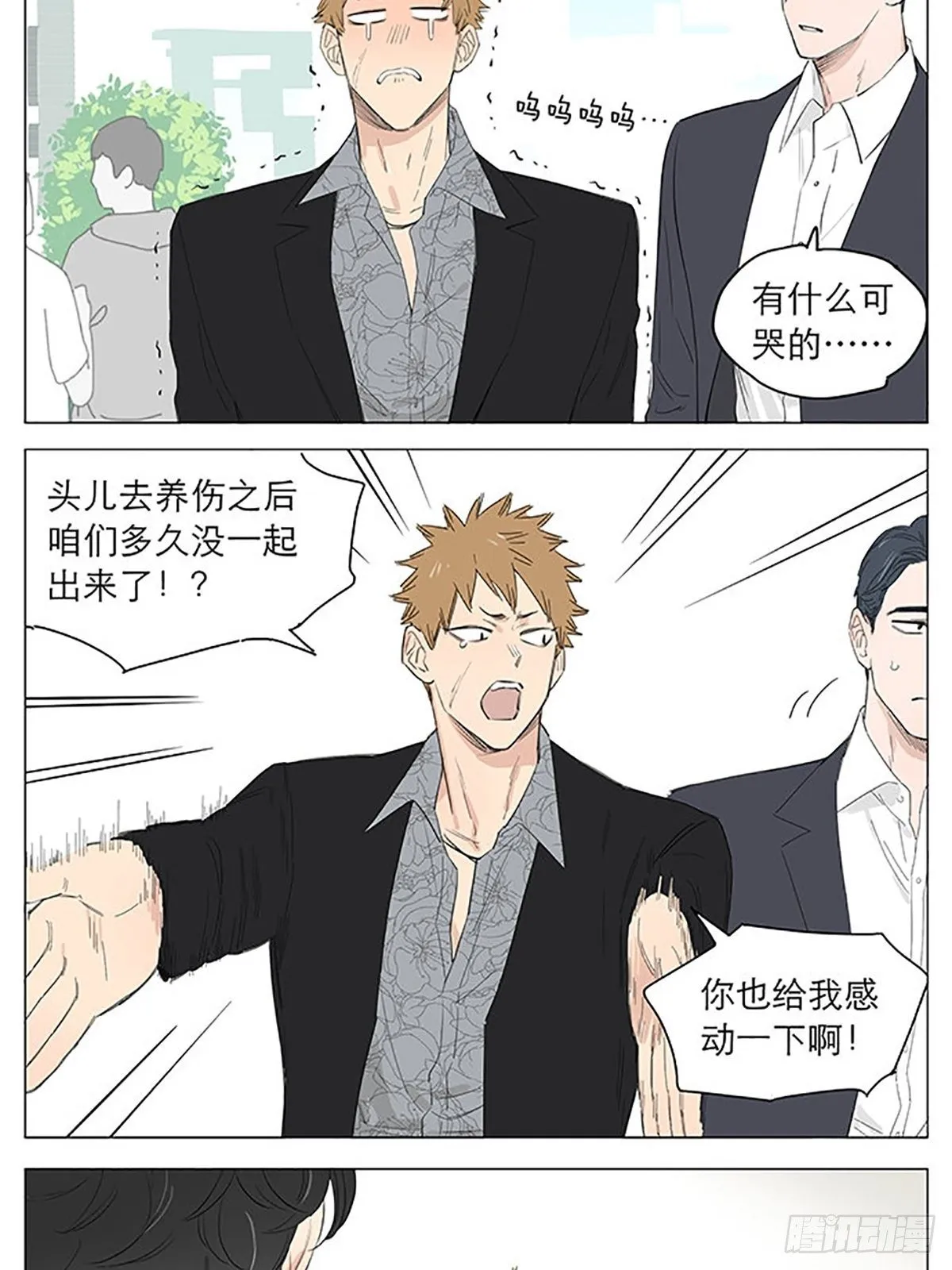 资格。 第3页