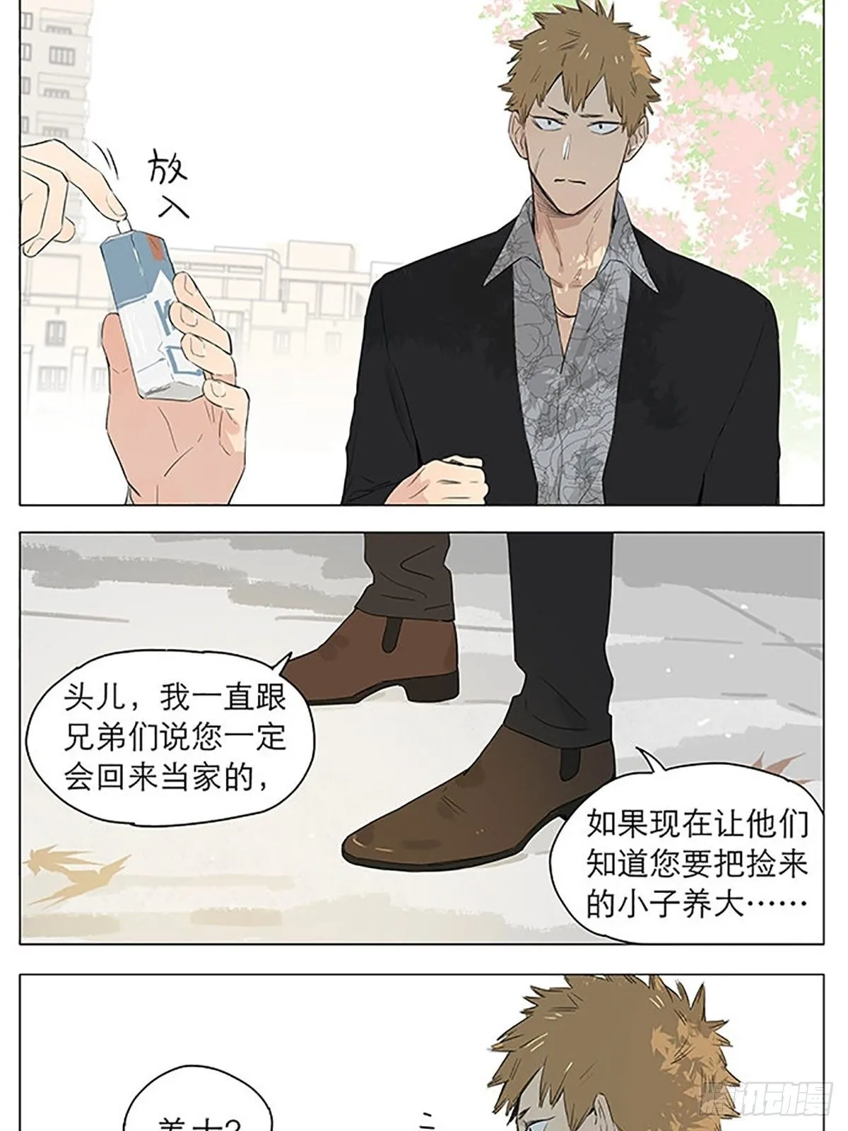 资格。 第8页