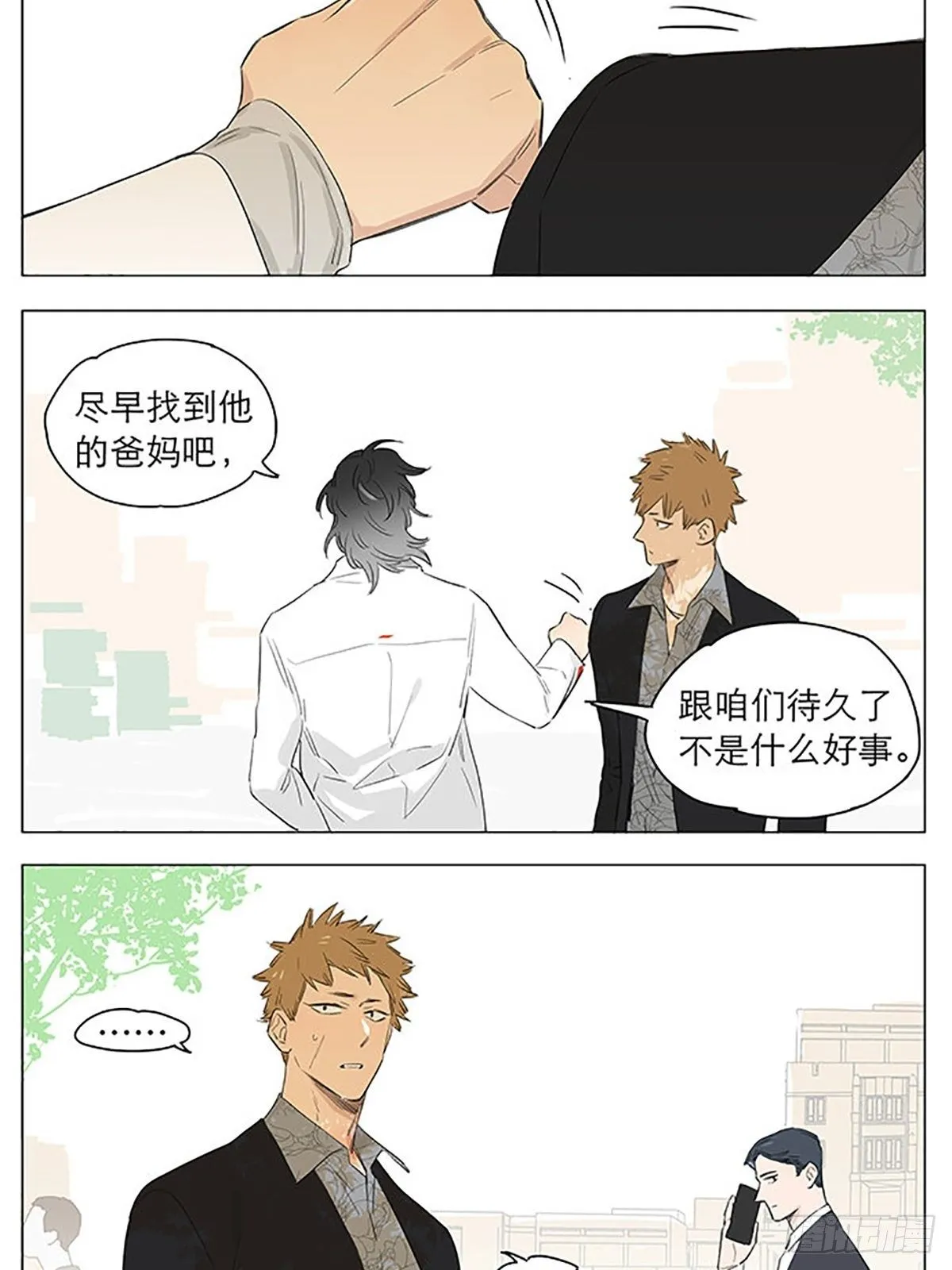 资格。 第10页