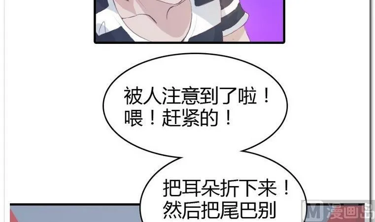 第14话 伪装 第12页