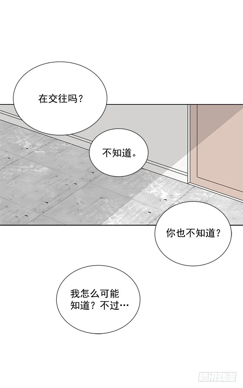 木鱼脑袋 第28页