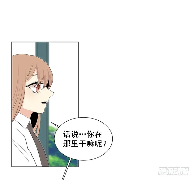 光合作用 第29页