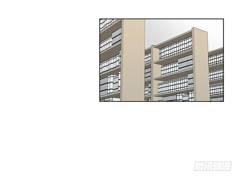 表现明显 第13页
