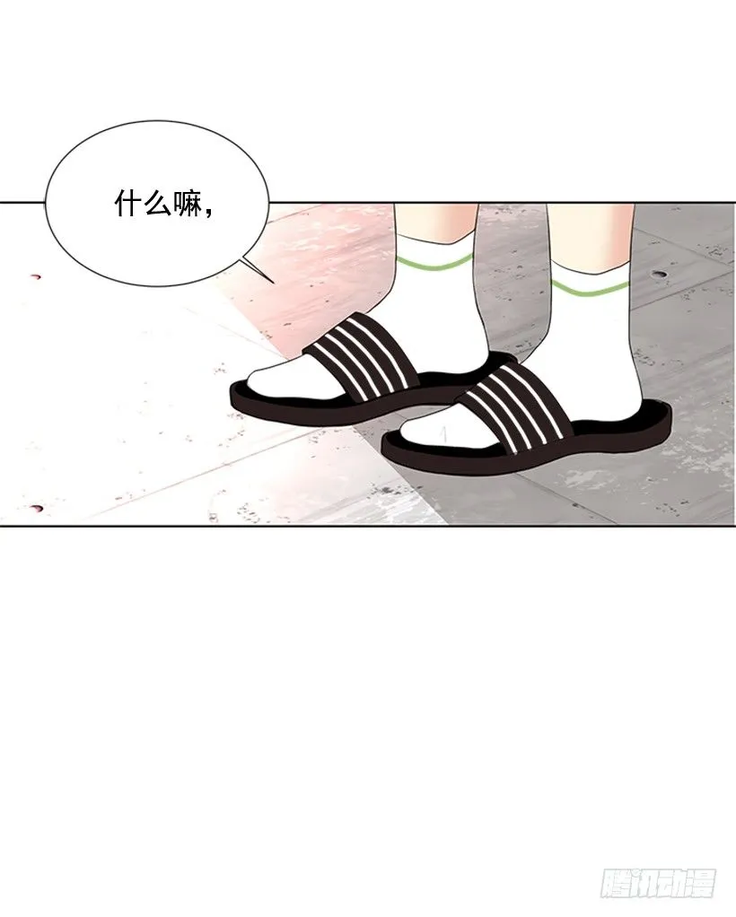 表现明显 第42页