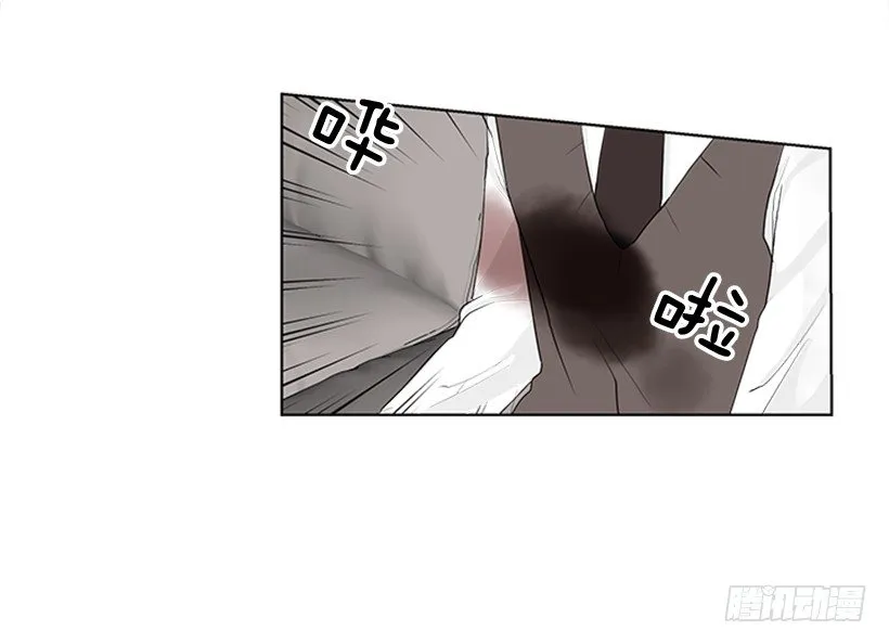 相册 第16页
