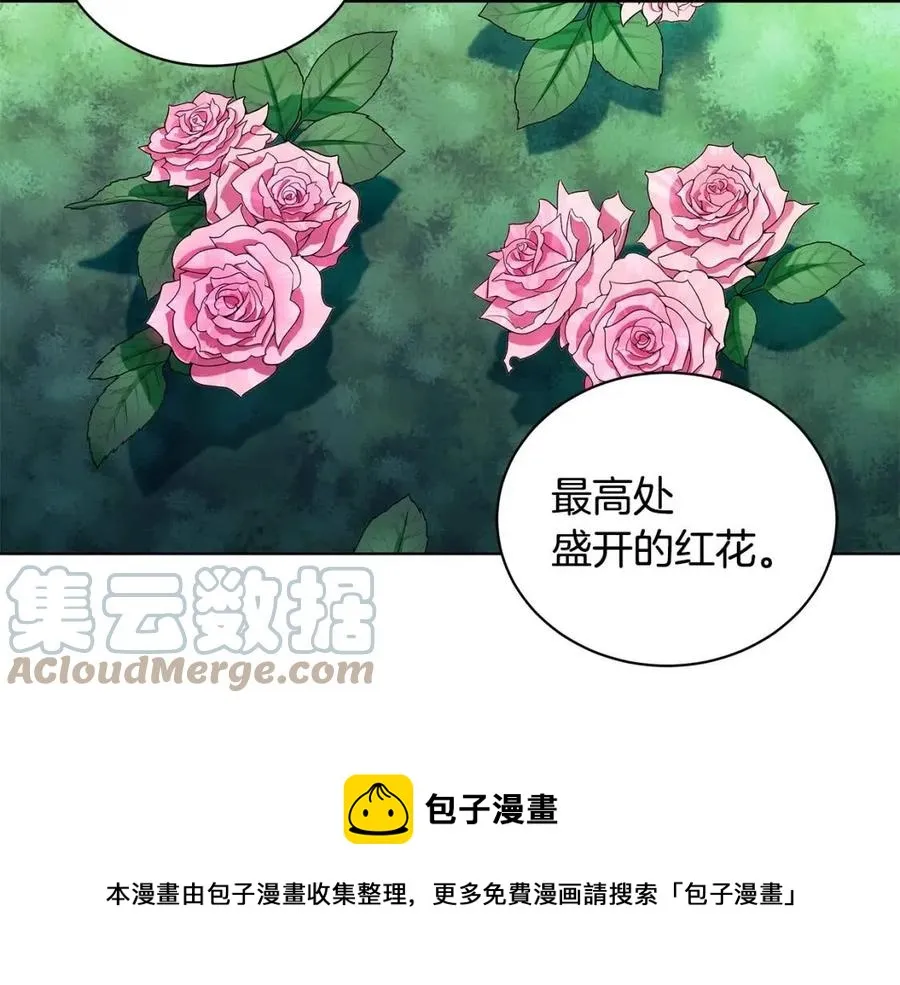 第16话 遭遇绑架 第29页