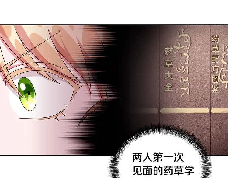 第33话 决斗前夕 第11页