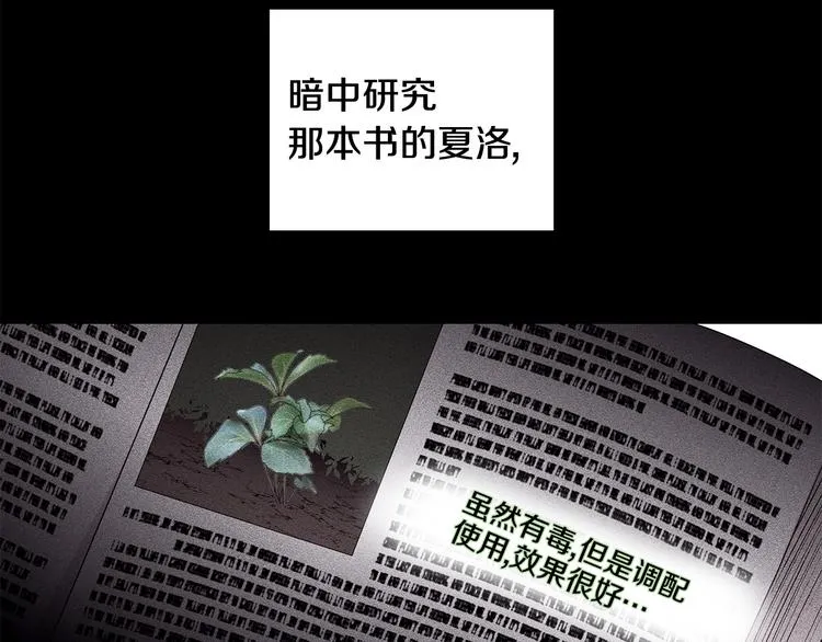 第33话 决斗前夕 第44页
