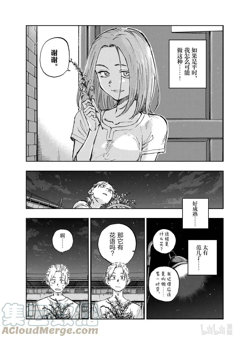 157 紫一叶豆 第11页