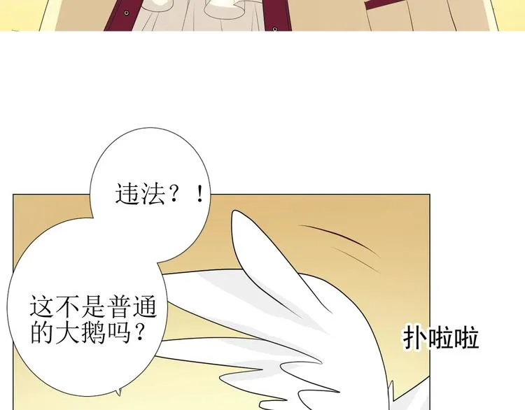 第1话 异乡的天鹅 第71页
