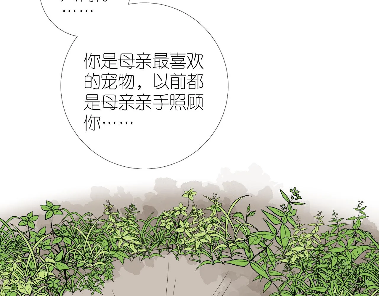 第二季32.许愿树的精灵 第13页