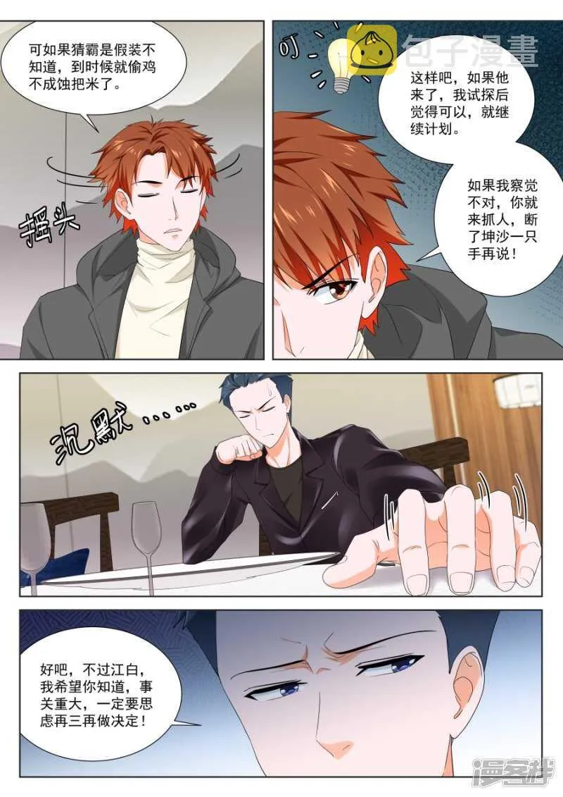 叶倾城的家庭 第8页