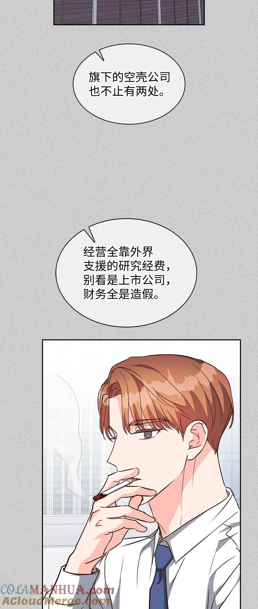 132 假账 第16页